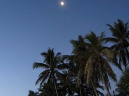 La Réunion au quotidien